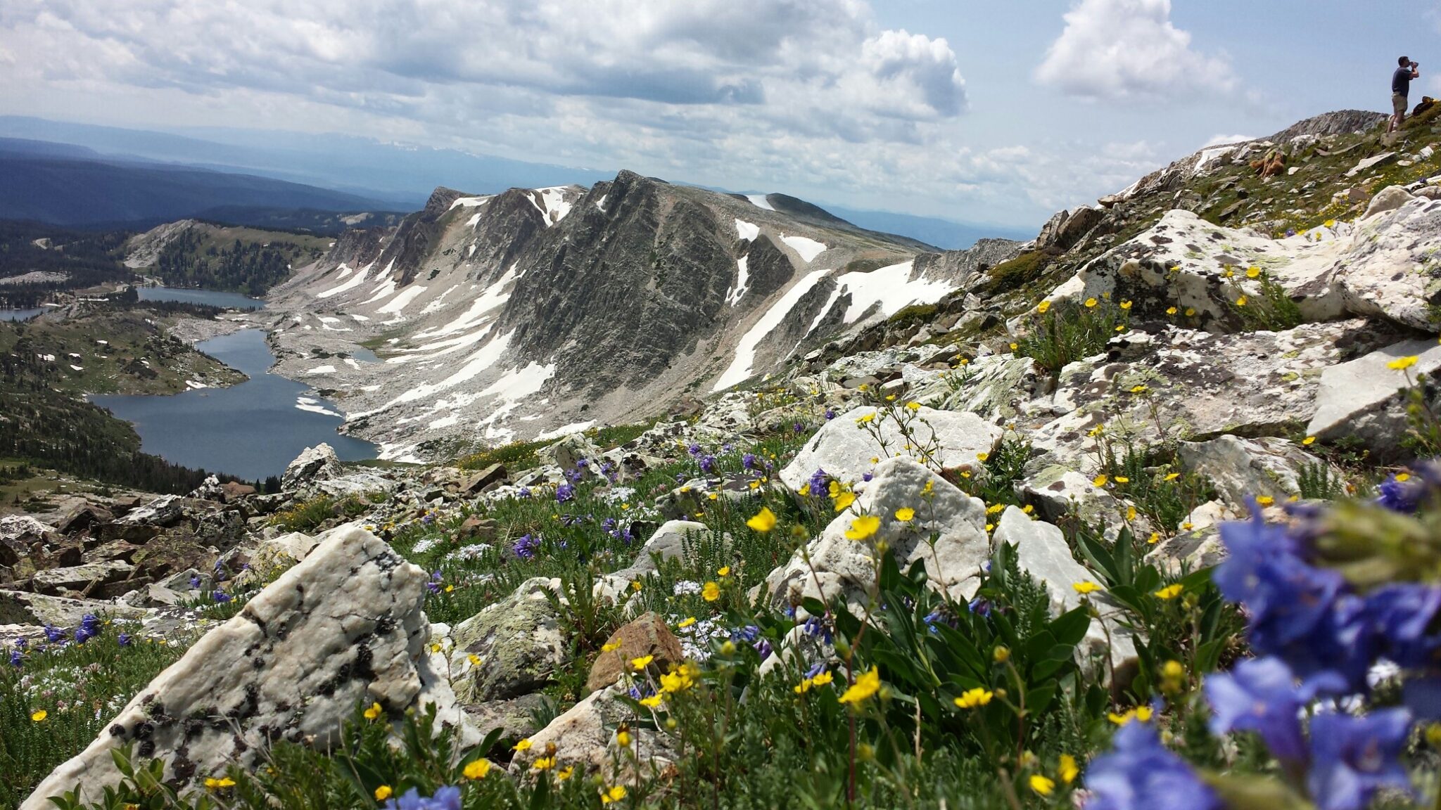 Cabin for Rent Near Albany, WY | aspen creek cabin