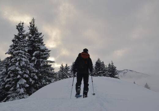 Snowshoeing